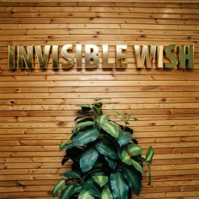 Фотография от Invisible Wish