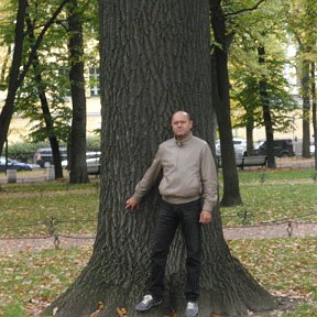 Фотография "ПИТЕР великий город .И этот дуб  вековой мне по духу брат!!!"