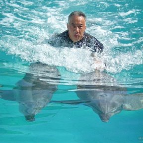 Фотография "Мои друзья - дельфины (Ялта март 2008)"