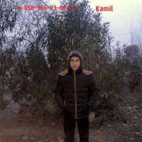 Фотография "Kamil"