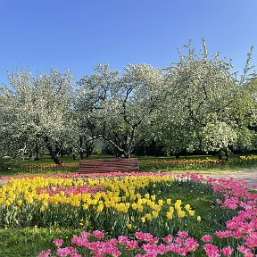 Фотография от Светлана Кирьянова( Щербакова)