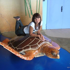 Фотография "Покатай меня,большаааая черепаха =)"