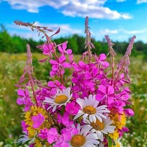 Фотография от Алевтина Ипаева