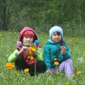 Фотография "Собираем оганьки"