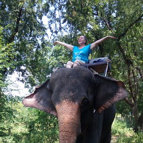 Фотография "Слона зовут Танечка, ей 29 лет. С водителем Танечки дуэтом спели Целый куплет песни "Расцветали яблони и груши...выходила на берег Катюша..." пока гуляли по джунглям! "