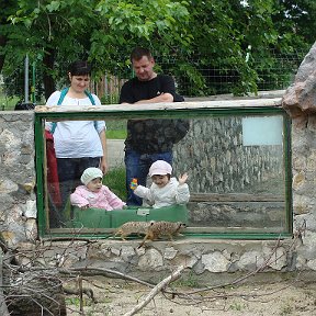 Фотография "Zoo Oradea"