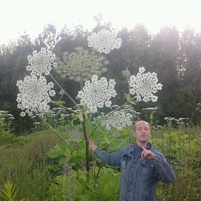 Фотография от Сергей Лебедев