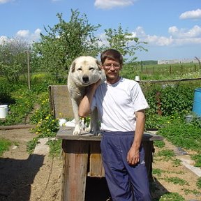 Фотография от александр веретенников