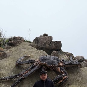 Фотография от Вячеслав Сапронов