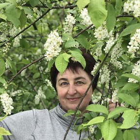 Фотография от Наталья Голенко