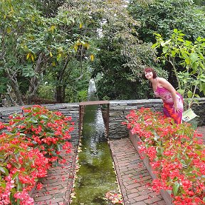 Фотография "Прогулки по Heritage Museum and Gardens. Sandwich MA"