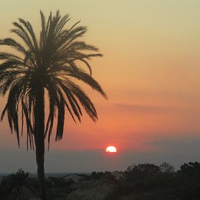 Фотография "Рассвет в Сахаре"