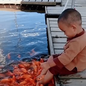 Фотография "Любите жизнь...
Она - не повторится... 
И это все,
что в общем нужно знать..."