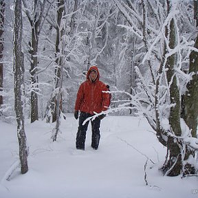 Фотография от Vlad Tertea