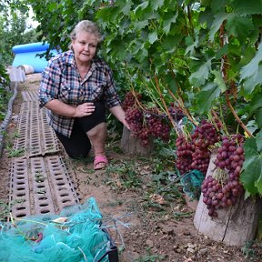 Фотография "я и Ливия(часть куста)"