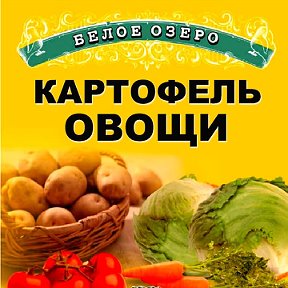 Фотография от Картофель Овощи советская 176