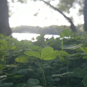 Фотография от Алексей Кириенко