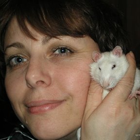 Фотография "Это я с любимым крысом Шуней))) "