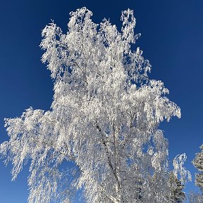 Фотография от Татьяна Федина