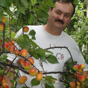 Фотография от jaltay(Oleg) nadjarg-Граждан