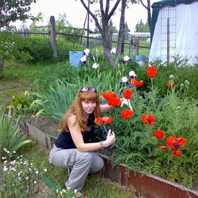 Фотография "это в Заозерье, Окуловский район Новгородская обл., Валдай 2007"