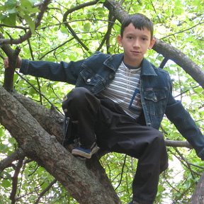 Фотография "Я на дереве"