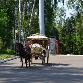 Фотография от Мир Природы