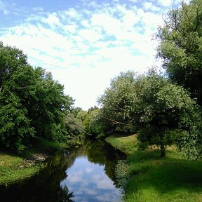 Фотография от Марина Ольховская