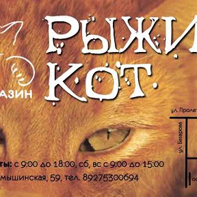 Фотография от Магазин 🐈 Рыжий Кот 🐈 Камышин