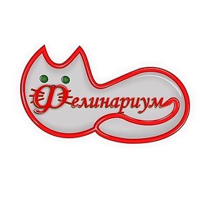 Фотография "Контактная выставка кошек 
http://www.felinarium.com"