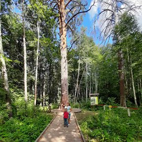 Фотография от Людмила Жукова (Великородова)