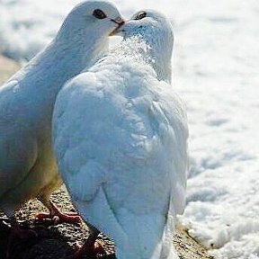 Фотография "Boş dünya"