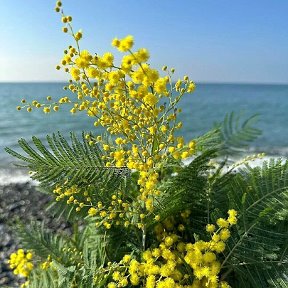 Фотография от ольга ивакина