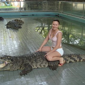 Фотография "Таиланд.Без комментариев. ( Да , крокодилы  живые и тот на котором сижу тоже живой . )"