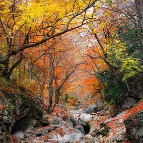 Фотография от Евгений Казачек