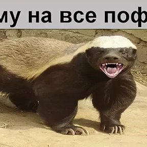 Фотография от пятигоскях ву со пятигоркях ву со 