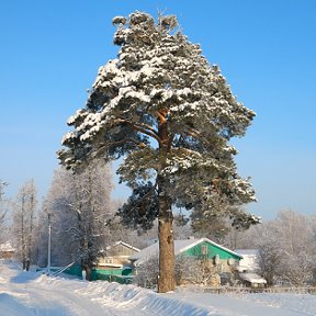 Фотография от Эдуард Корнев