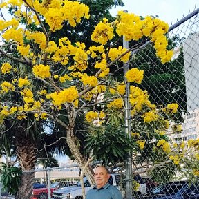 Фотография "Я во дворе на фоне цветущего дерева..."