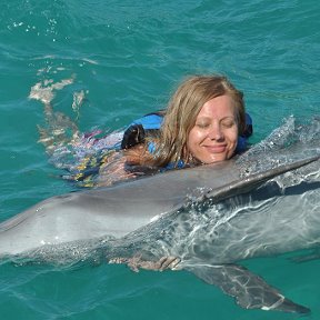 Фотография "Такие они классные🐬👍"