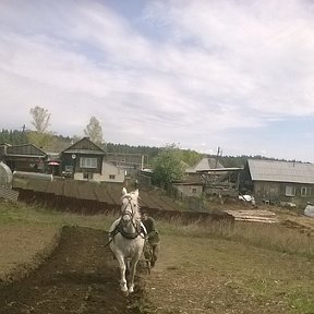 Фотография от Александр Балушин