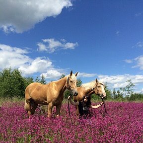 Фотография от Kристина Папазян (Оганесян)