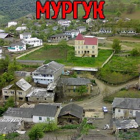 Фотография "мургук"