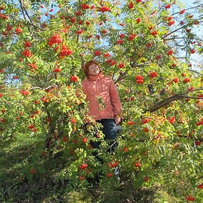 Фотография от Марина Бамбурина (Крикун)