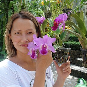 Фотография "Орхидеи"