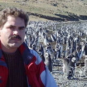 Фотография "18.12.2007. Чили г.Пунта-Аренас.Рядом только пингвины."