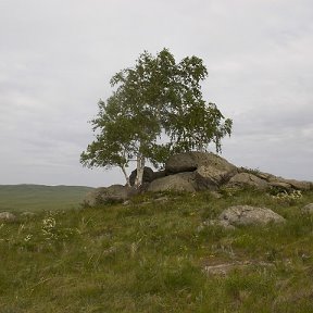 Фотография "Красота Алтай"