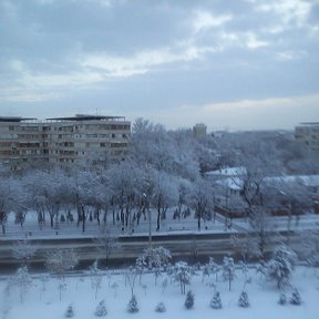 Фотография "Зима в Ташкенте"