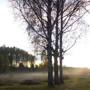 Фотография от Наталья Трошкина (Ковалёва)