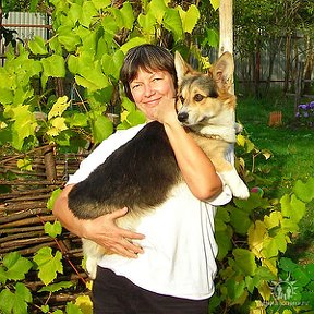 Фотография "В деревне с любимой собачкой. 30 сентября 2010 г. "