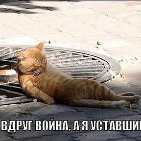 Фотография "Не забудьте раздать пехотинцам стимулятор «Берсерк» перед боем! http://www.odnoklassniki.ru/game/crisis?iii"